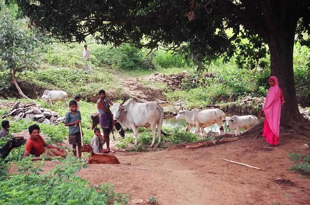 Photo: Ruksan Bose Photo: Ruksan Bose