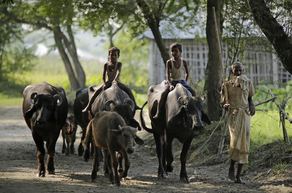 Photo: Vikas Choudhary Photo: Vikas Choudhary