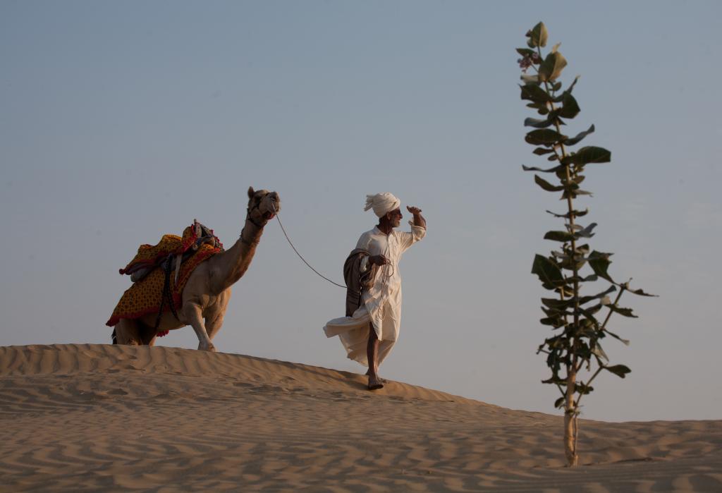 Photo: Vikas Choudhary Photo: Vikas Choudhary