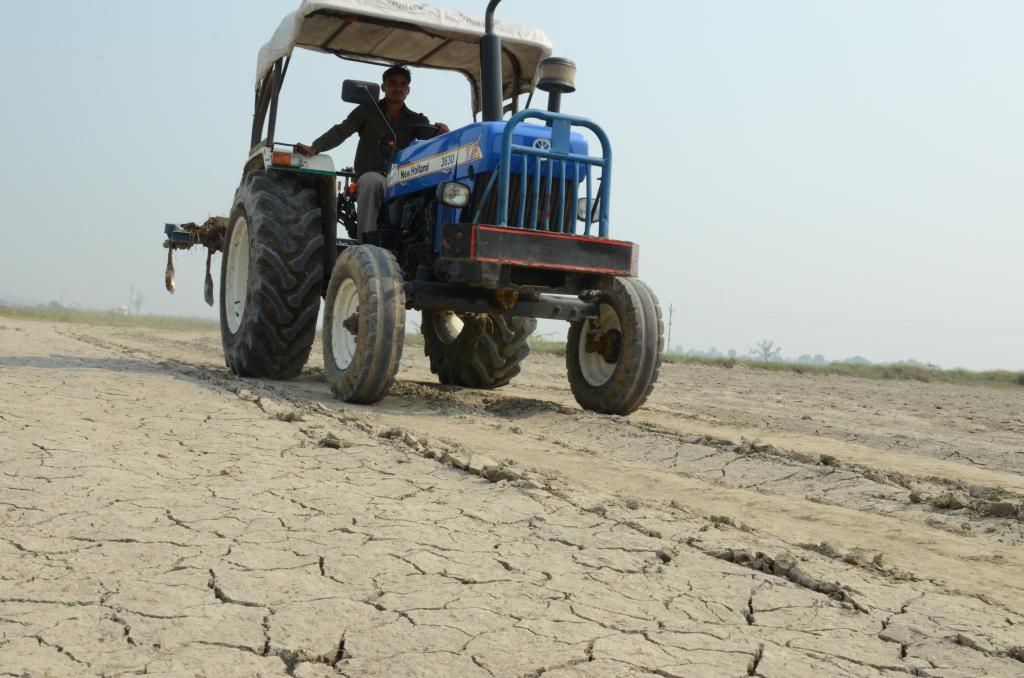 Photo: Vikas Choudhary Photo: Vikas Choudhary