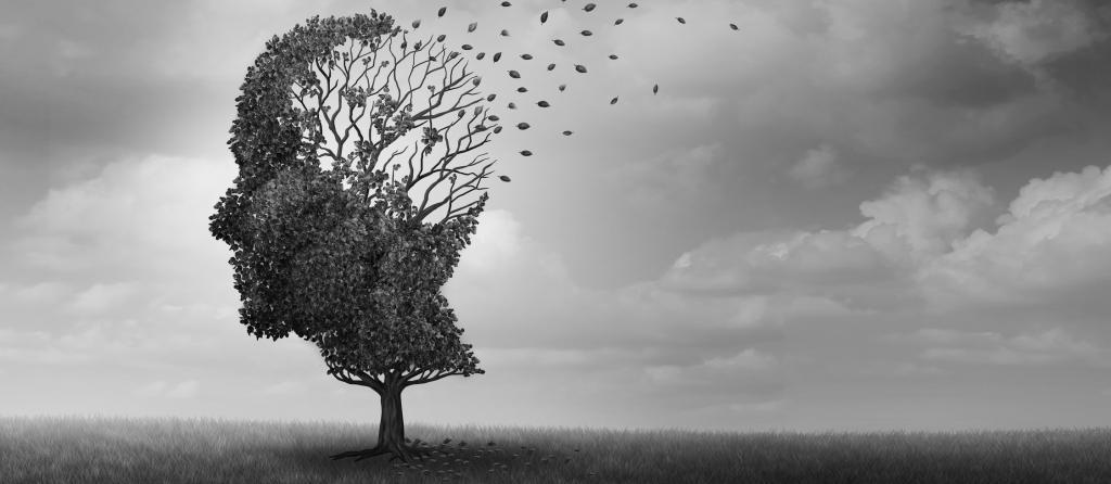 Indian study may help better manage Alzheimer's - Vimarsana News