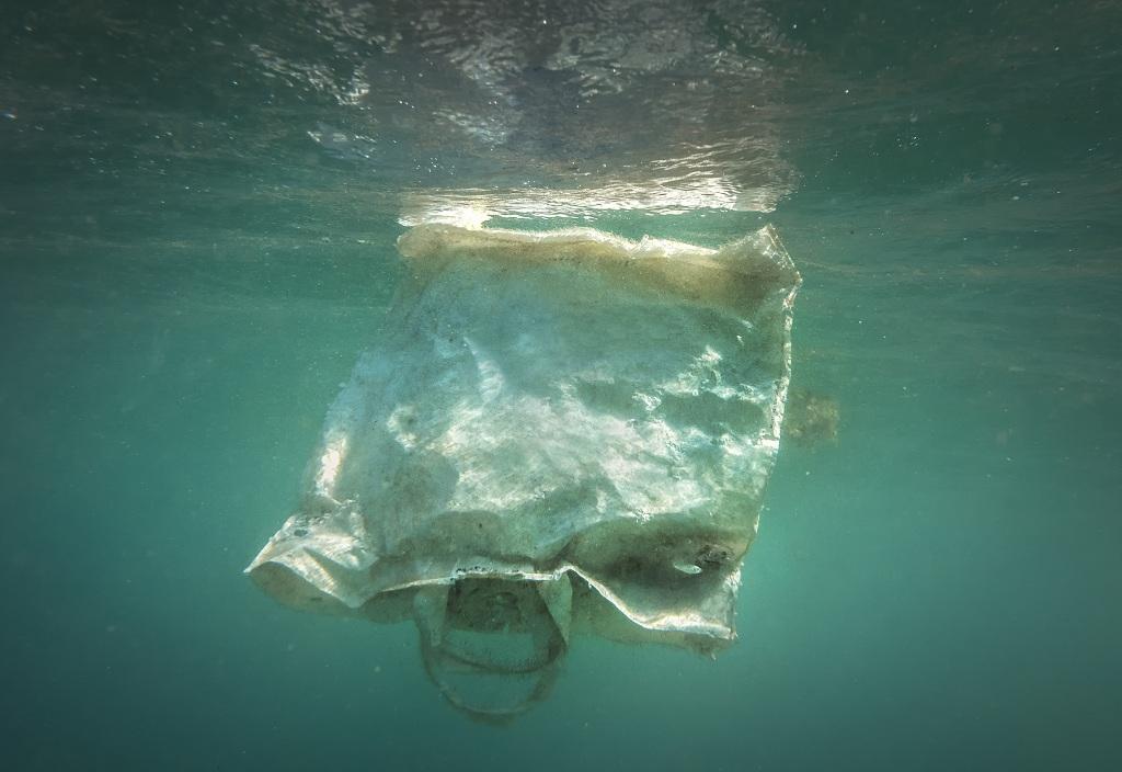 Photo: GettyImages Photo: GettyImages