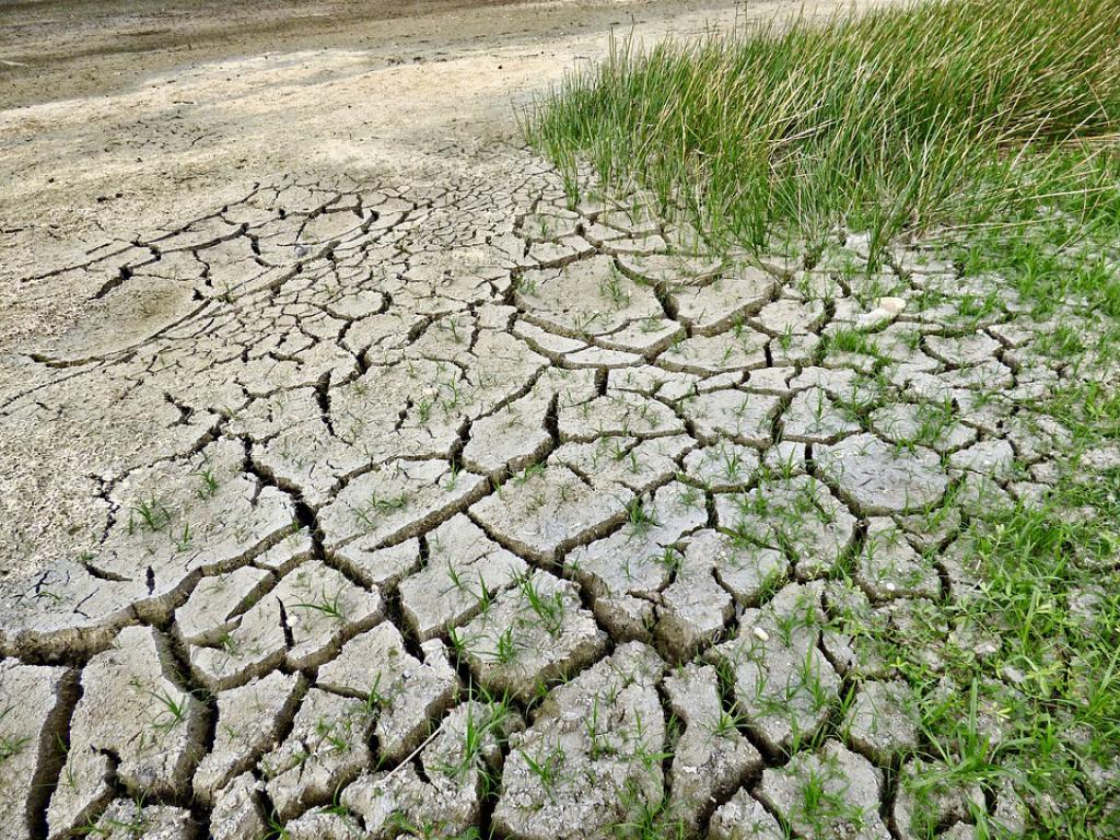 बंजर होती धरती का दर्द