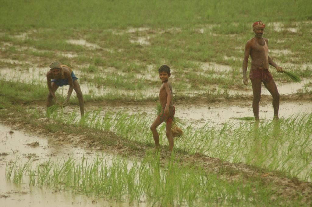 Photo : Agnimirh Basu Photo : Agnimirh Basu