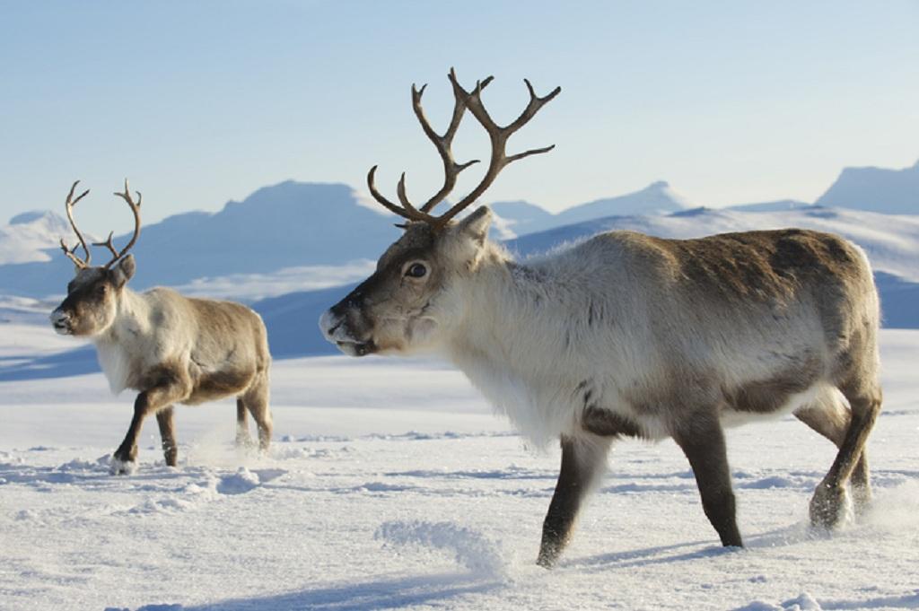 Photo: GettyImages Photo: GettyImages
