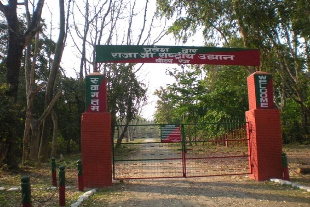 Photo: Website of rajajinationalpark Photo: Website of rajajinationalpark
