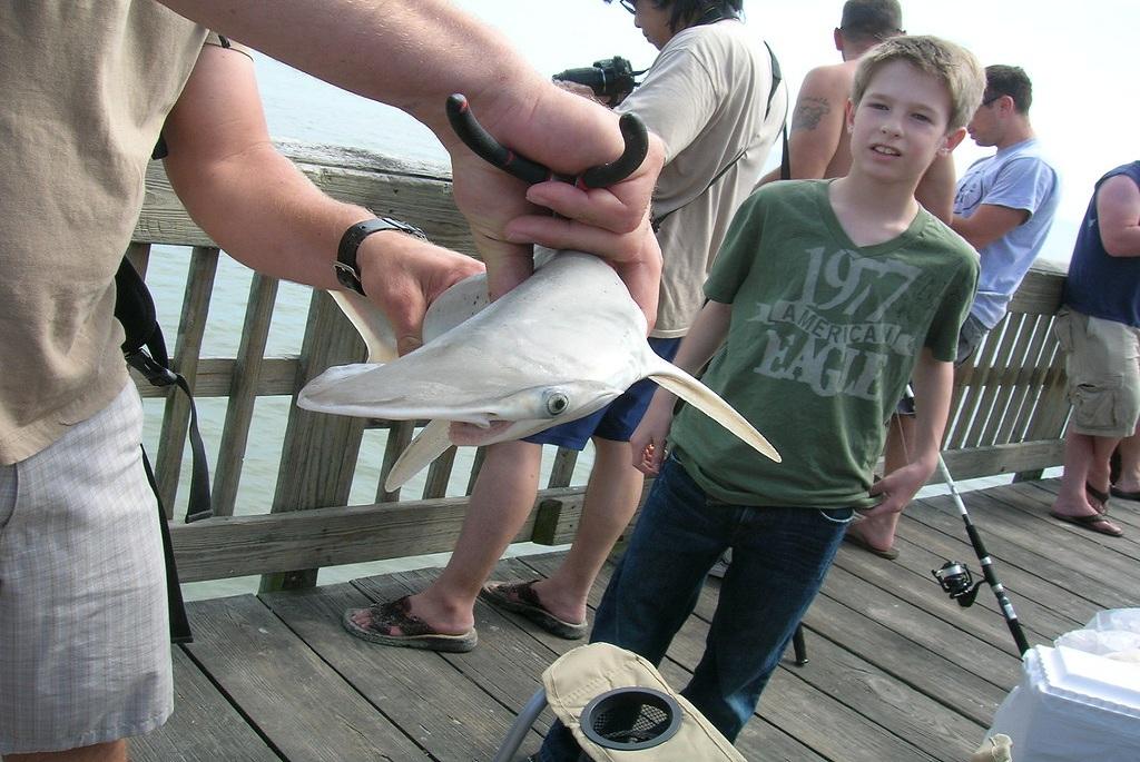 Photo: Creative commons Photo: Creative commons