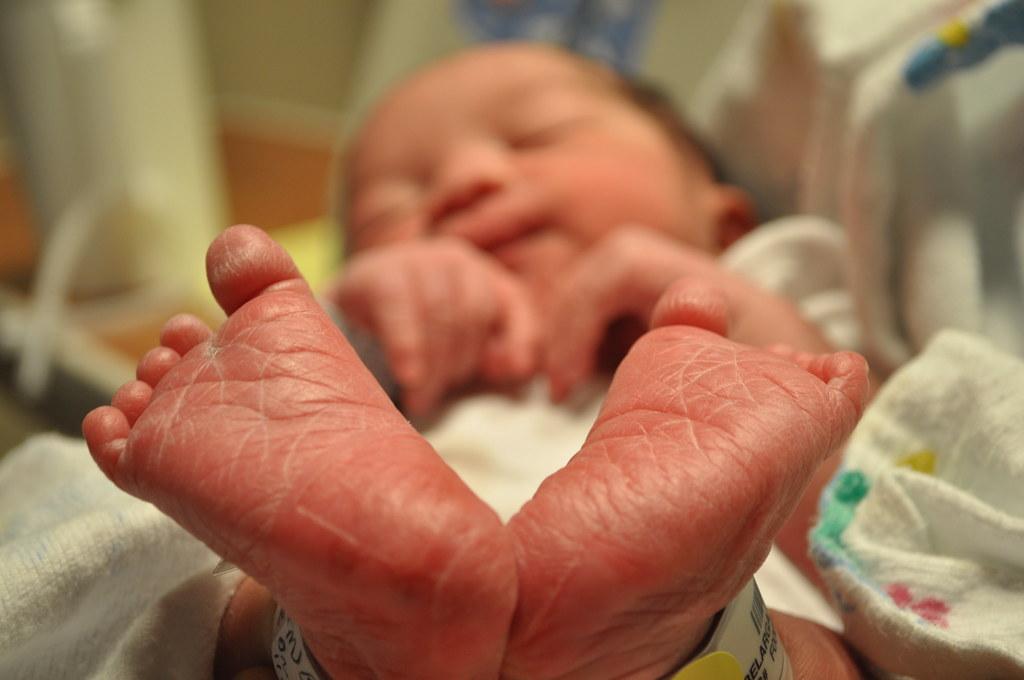 Photo: Creative Commons Photo: Creative Commons