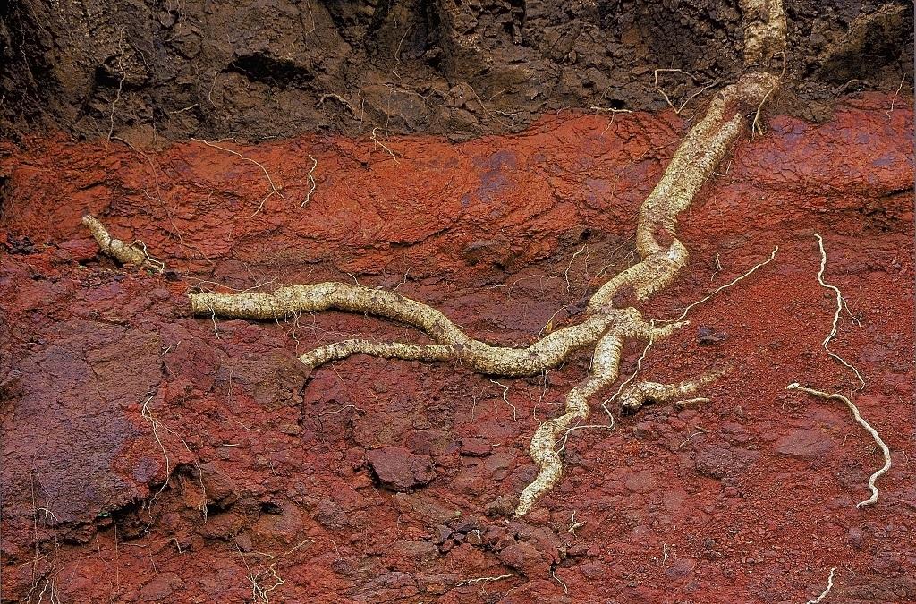 Human activities and soil erosion
