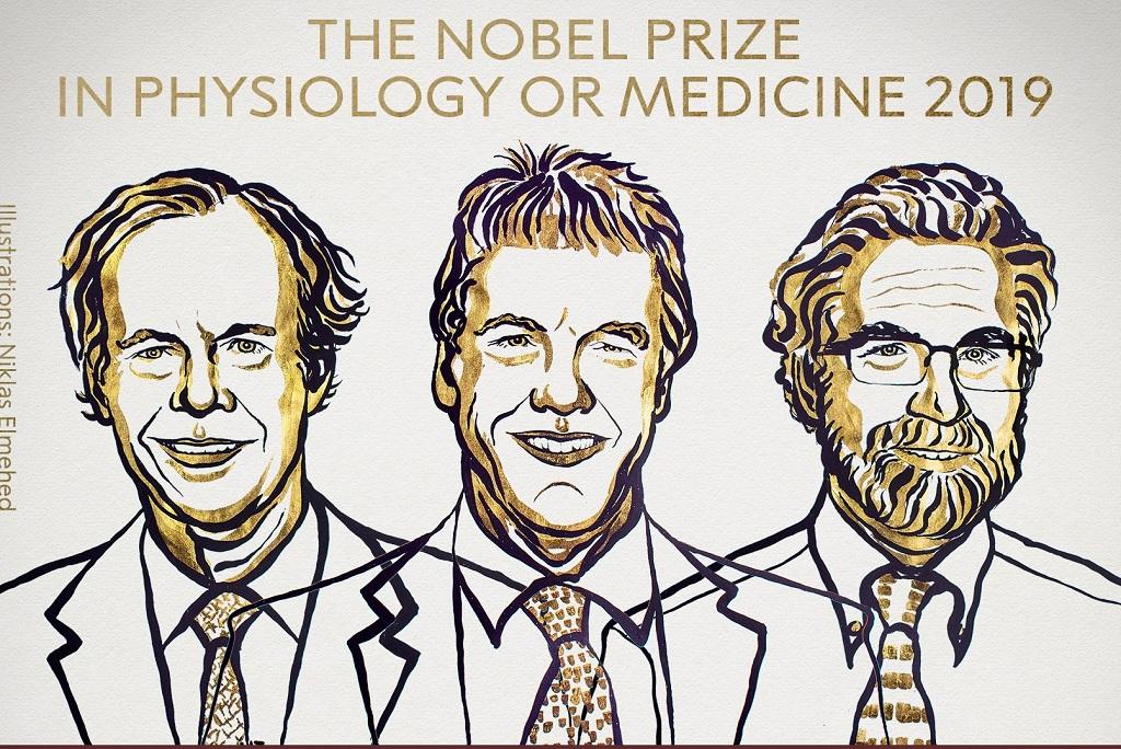Photo: twitter @NobelPrize
Photo: twitter @NobelPrize