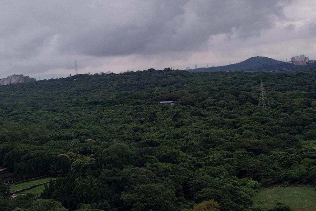 Photo: @ConserveAarey Photo: @ConserveAarey