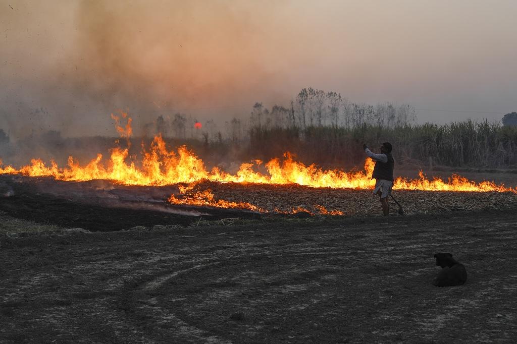 Photo: Vikas Choudhary Photo: Vikas Choudhary