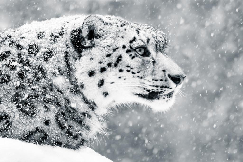 Photo: GettyImages Photo: GettyImages