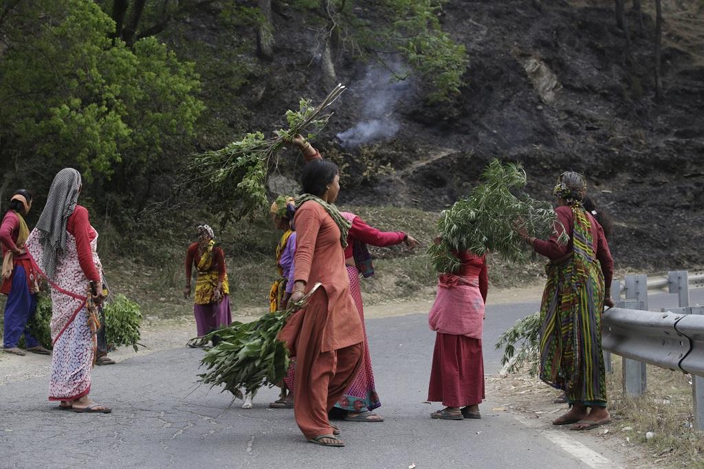 उत्तराखंड के जंगलों में जब आग लगती है तो औरतें इस तरह पेड़ों को बचाने पहुंच जाती हैं। अब देखना है कि प्रदेश के लोग अपने जंगल कैसे बचाते हैं? फोटो: विकास चौधरी उत्तराखंड के जंगलों में जब आग लगती है तो औरतें इस तरह पेड़ों को बचाने पहुंच जाती हैं। अब देखना है कि प्रदेश के लोग अपने जंगल कैसे बचाते हैं? फोटो: विकास चौधरी