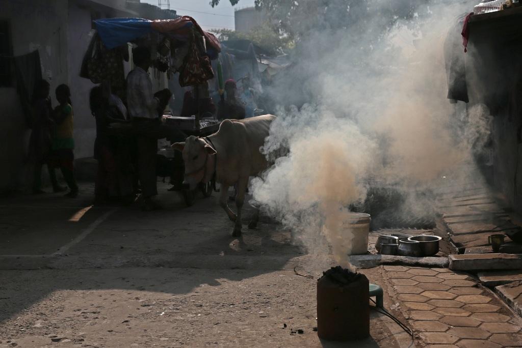 Photo: Vikas Choudhary Photo: Vikas Choudhary