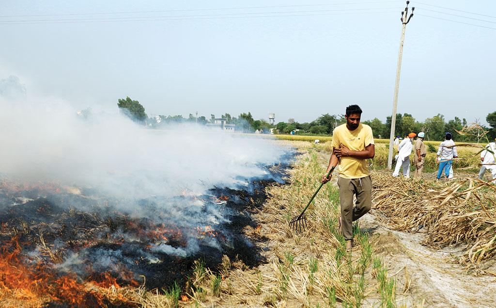 दम घोंटता पराली का धुआं दम घोंटता पराली का धुआं