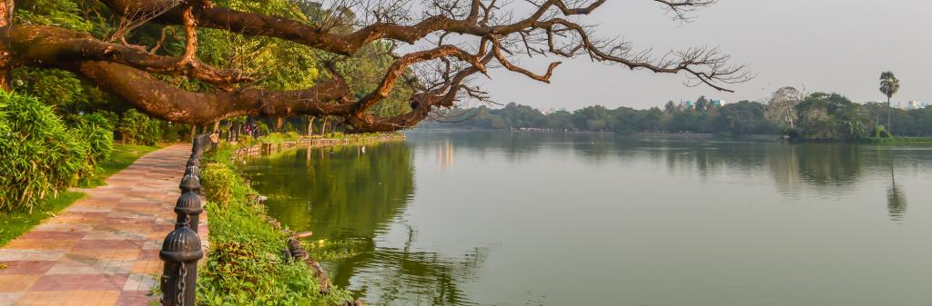 What did the Chhath violation of NGT at Kolkata's Rabindra Sarobar ...