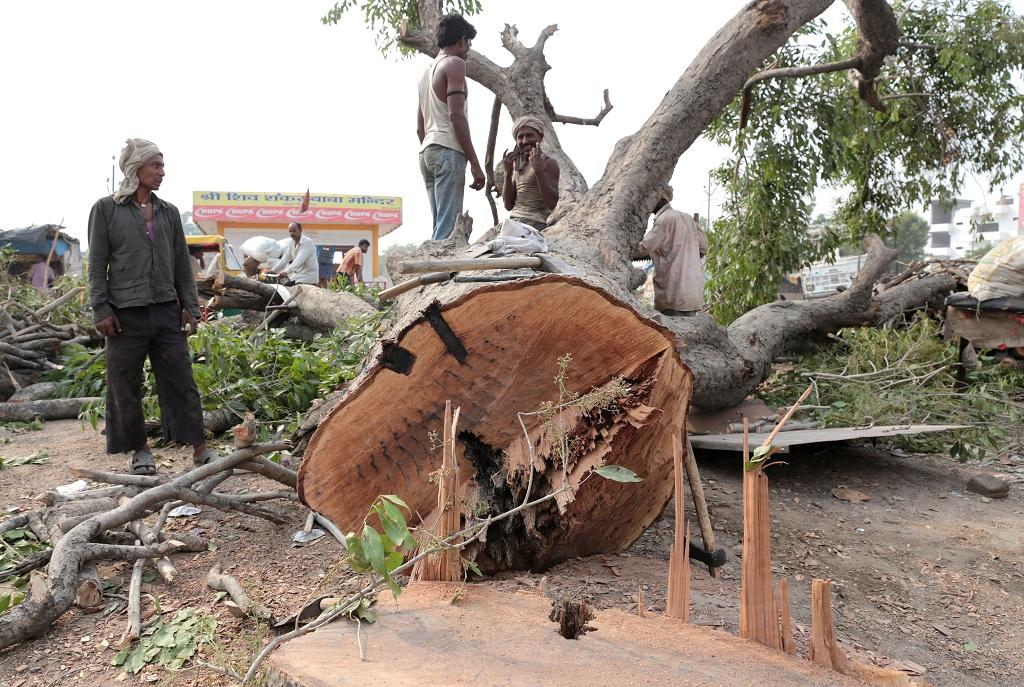 Photo: Vikas Choudhary Photo: Vikas Choudhary