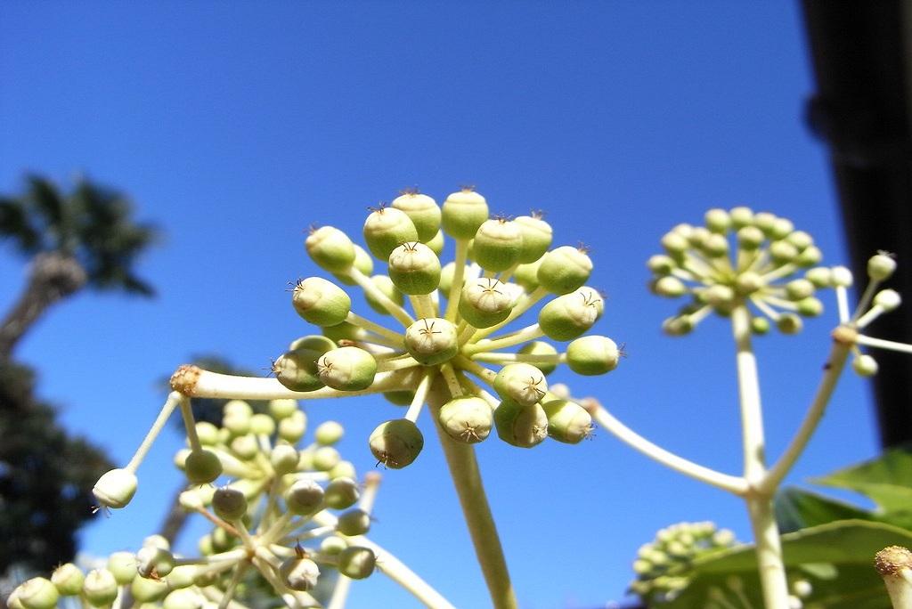 Photo: Creative commons Photo: Creative commons