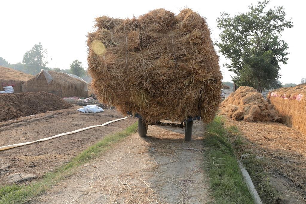 Photo: Vikas Choudhary Photo: Vikas Choudhary