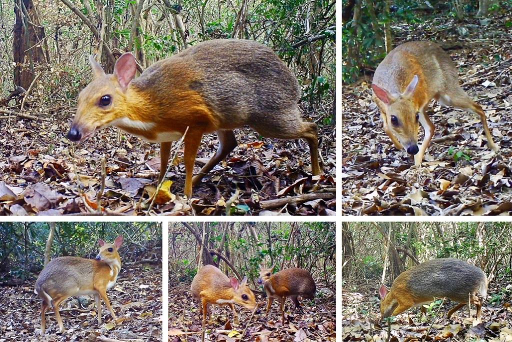 Source : Nature Ecology & Evolution Source : Nature Ecology & Evolution