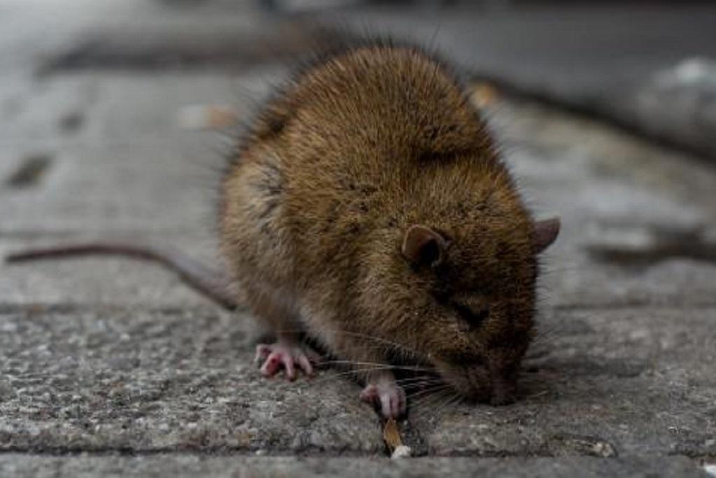 Photo: GettyImages Photo: GettyImages
