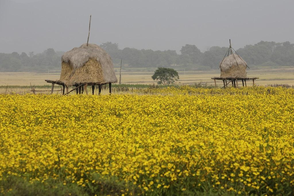 Photo: Vikas Choudhary Photo: Vikas Choudhary