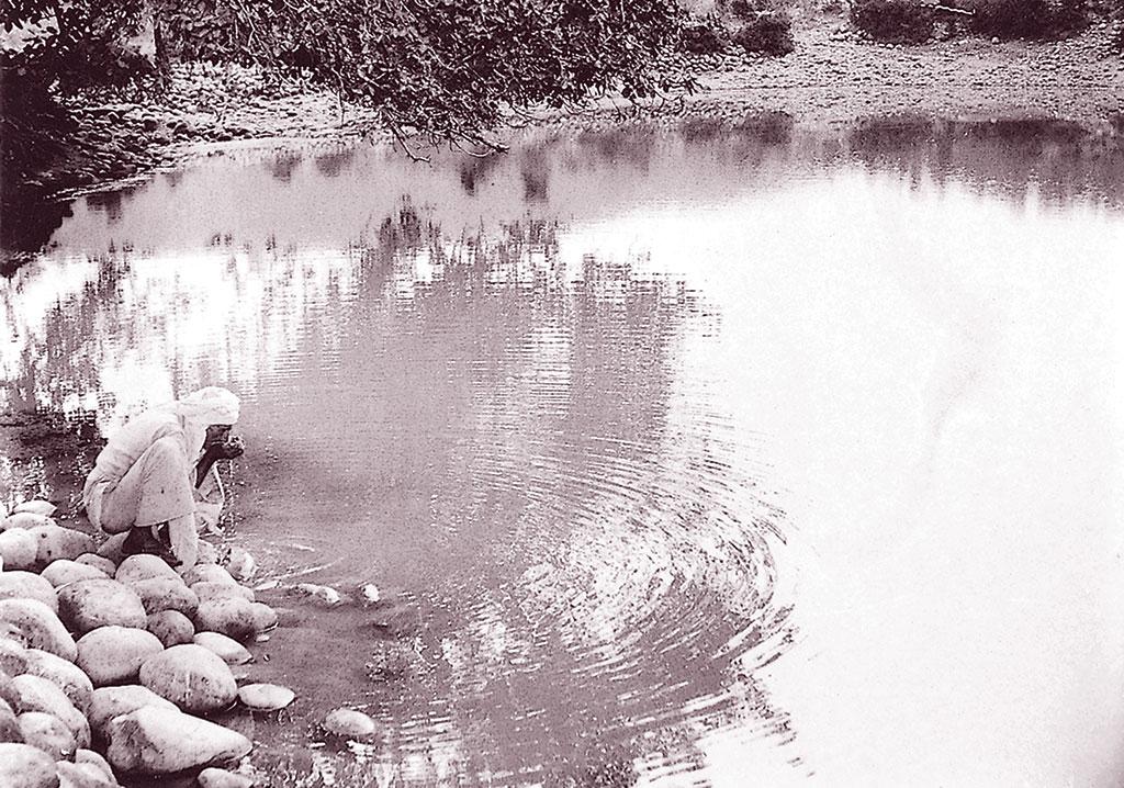 तालाबों की बलि तालाबों की बलि