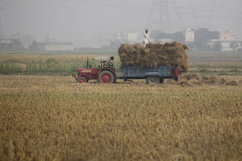 Photo: Vikas Choudhary Photo: Vikas Choudhary