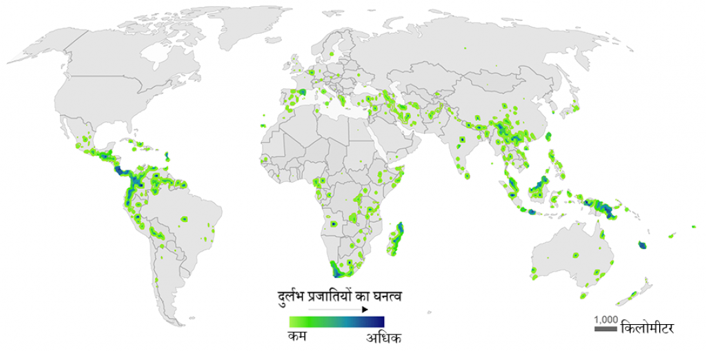 मानचित्र: वैश्विक स्तर पर पौधों की दुर्लभ प्रजातियों का घनत्व