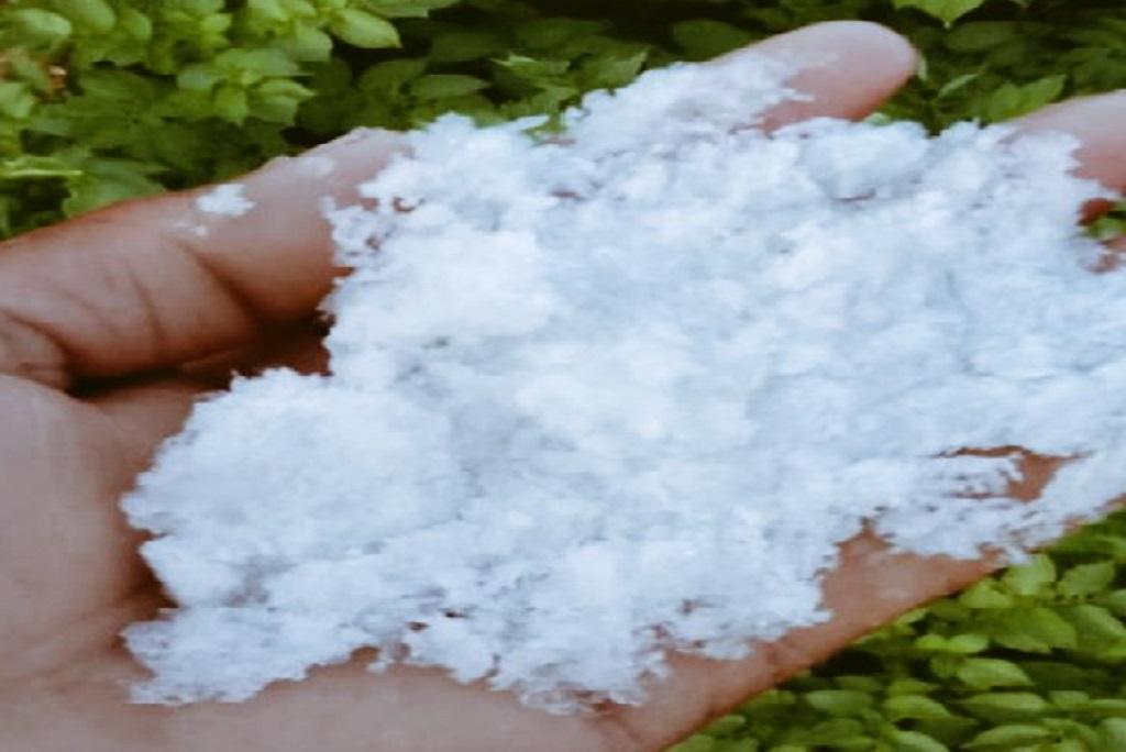 मध्यप्रदेश के देवास में खेत में बर्फ की पतली परत जम गई है। फोटो: मनीष चंद्र मिश्र मध्यप्रदेश के देवास में खेत में बर्फ की पतली परत जम गई है। फोटो: मनीष चंद्र मिश्र