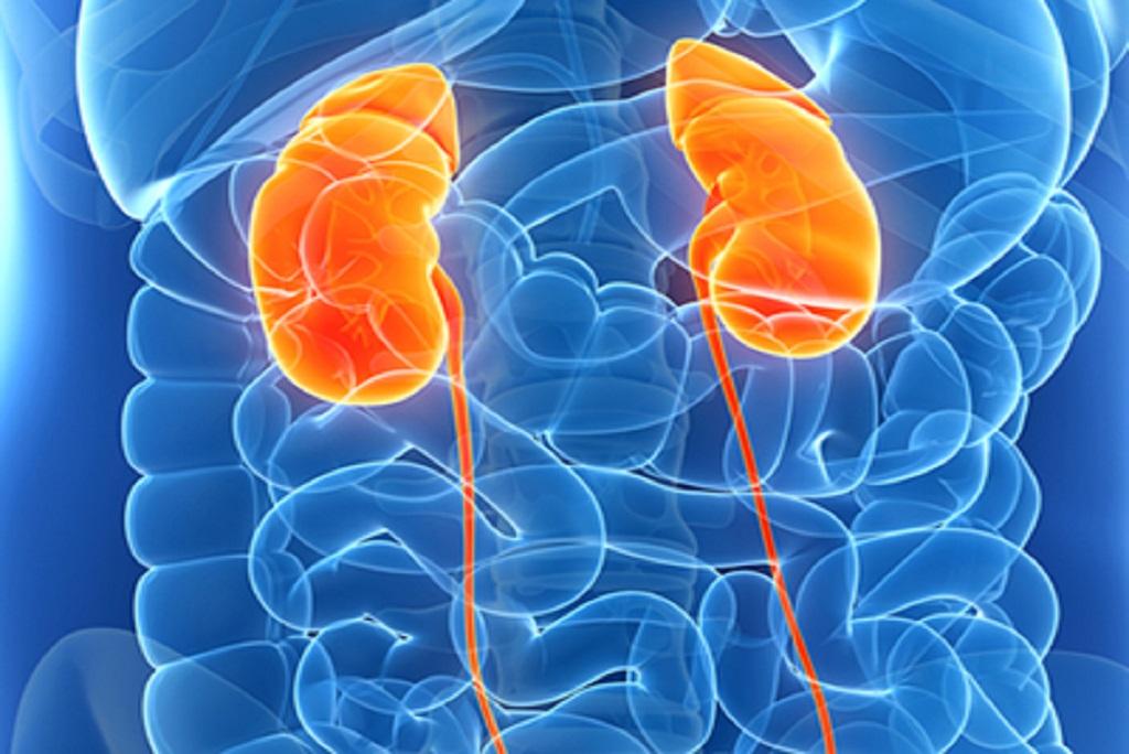 Photo credit: niddk.nih.gov Photo credit: niddk.nih.gov