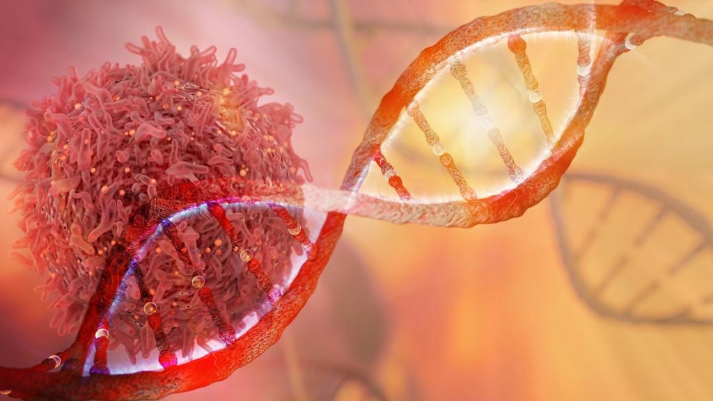 Cancer cases are on the rise in many parts of the continent. CI concept: Shutterstock / The Conversation
Cancer cases are on the rise in many parts of the continent. CI concept: Shutterstock / The Conversation