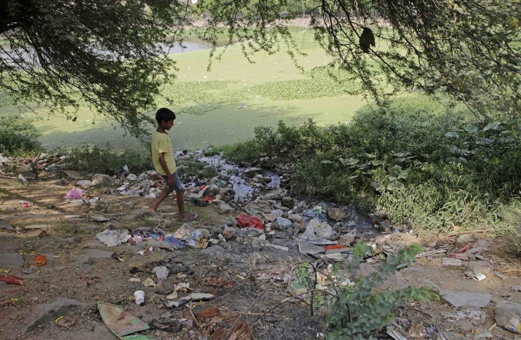 दिल्ली में 13वीं सदी की एक वाटर बॉडी। फोटो: विकास चौधरी दिल्ली में 13वीं सदी की एक वाटर बॉडी। फोटो: विकास चौधरी