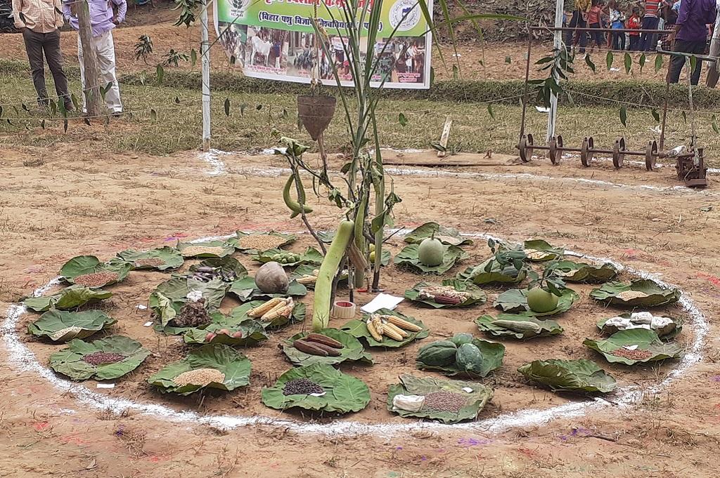 फोटो: पुष्य मित्र