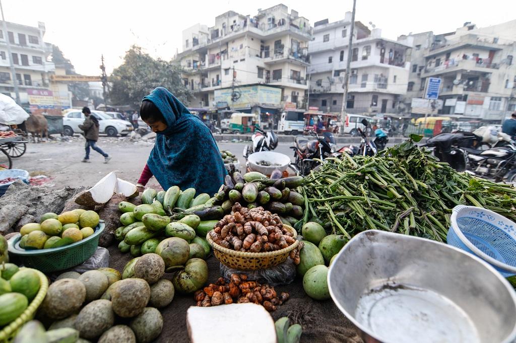 फोटो: विकास चौधरी फोटो: विकास चौधरी