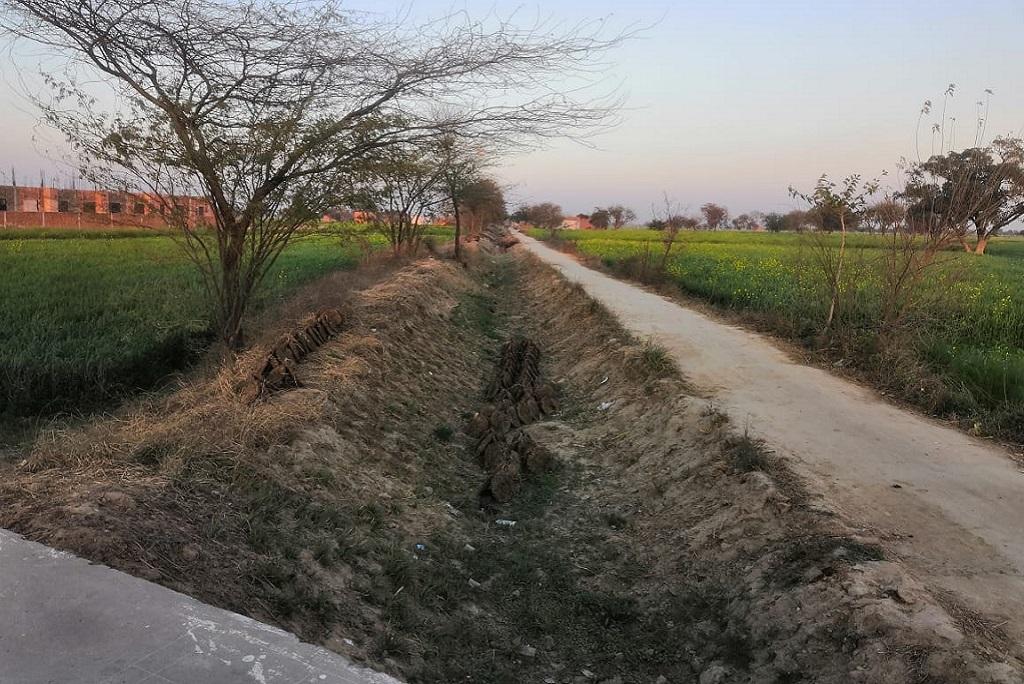 मेवात में सूखी पड़ी नहर। फोटो: शाहनवाज आलम मेवात में सूखी पड़ी नहर। फोटो: शाहनवाज आलम