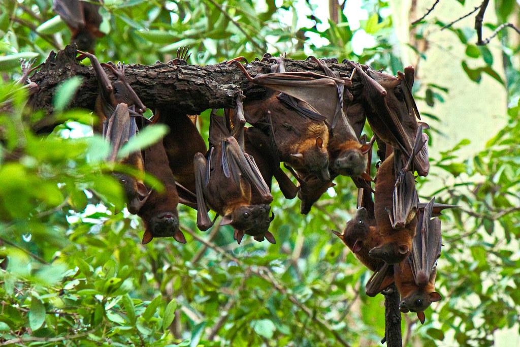 Photo: Creative commons Photo: Creative commons