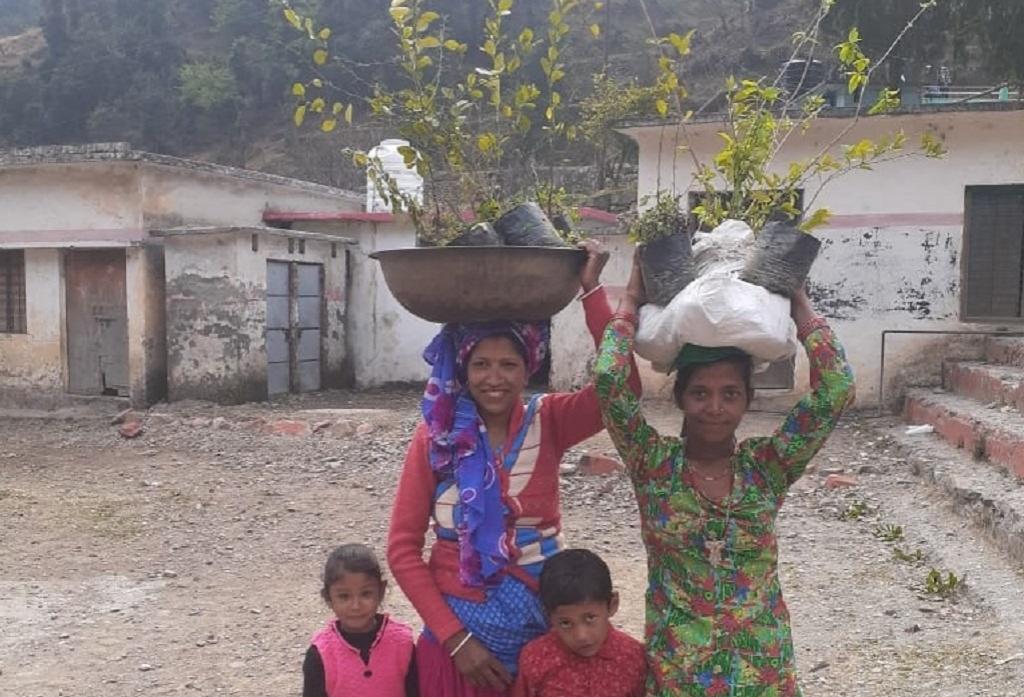 उत्तराखंड में लोग अपने स्तर पर वृक्षारोपण कर जलवायु परिवर्तन से निपटने का इंतजाम करते हैं। फोटो: त्रिलोचन भट्ट उत्तराखंड में लोग अपने स्तर पर वृक्षारोपण कर जलवायु परिवर्तन से निपटने का इंतजाम करते हैं। फोटो: त्रिलोचन भट्ट