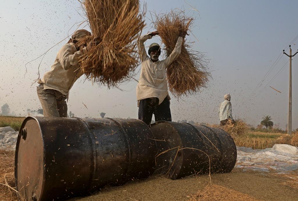 Photo: Vikas Choudhary Photo: Vikas Choudhary