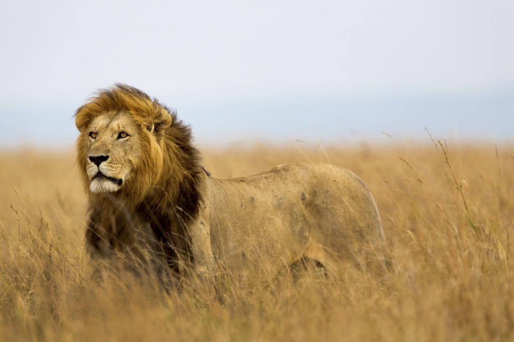 Photo : Istock Photo : Istock