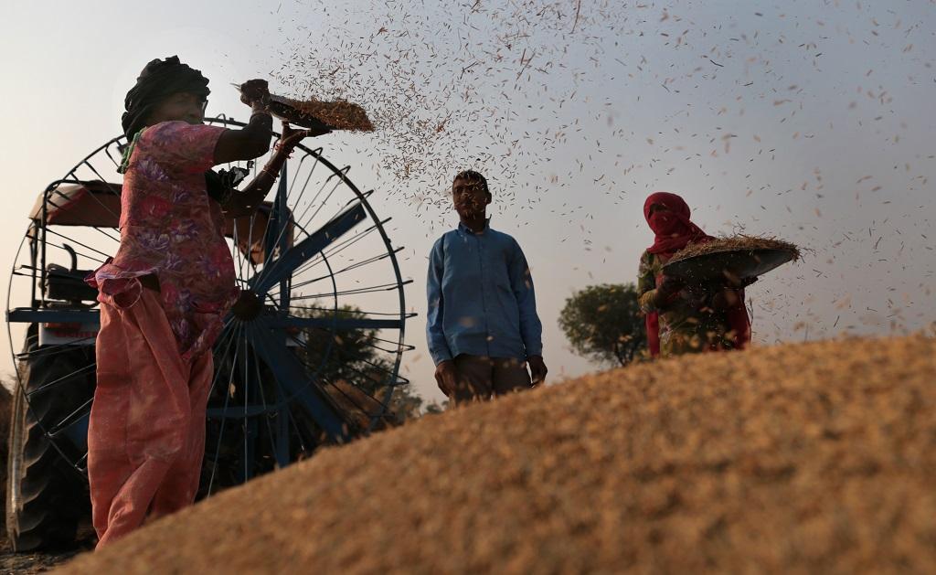 फोटो: विकास चौधरी फोटो: विकास चौधरी