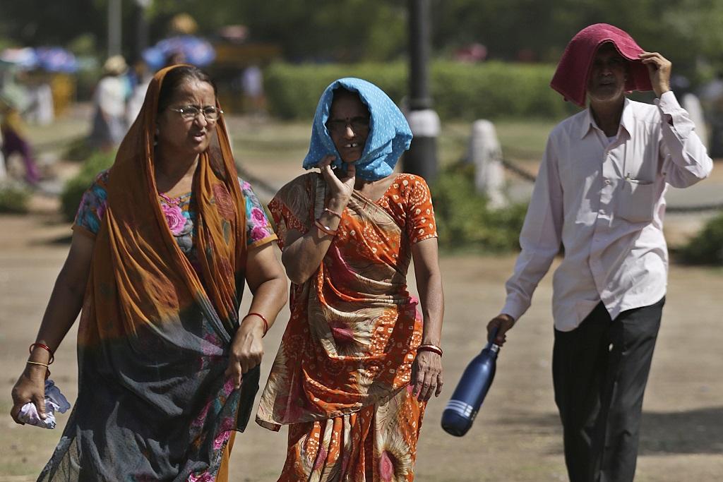 फोटो: विकास चौधरी फोटो: विकास चौधरी