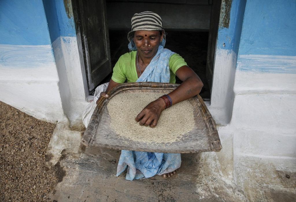 फोटो: विकास चौधरी फोटो: विकास चौधरी