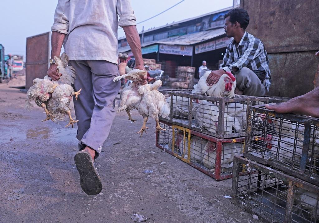 फोटो: विकास चौधरी फोटो: विकास चौधरी