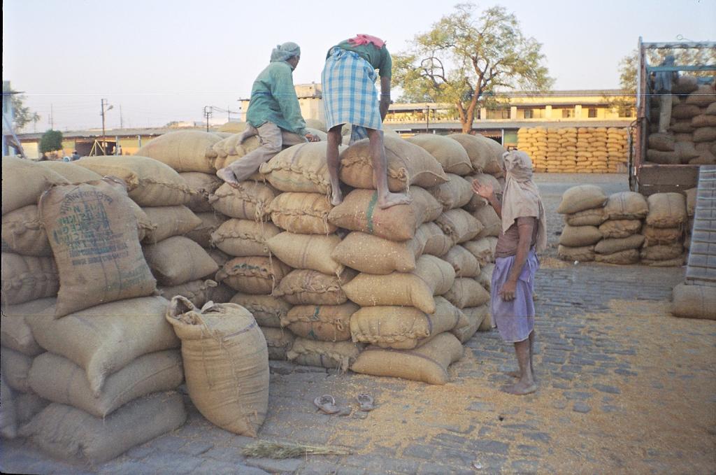 Food for all to free for all: Unconcerned WTO make matters worse - Vimarsana News