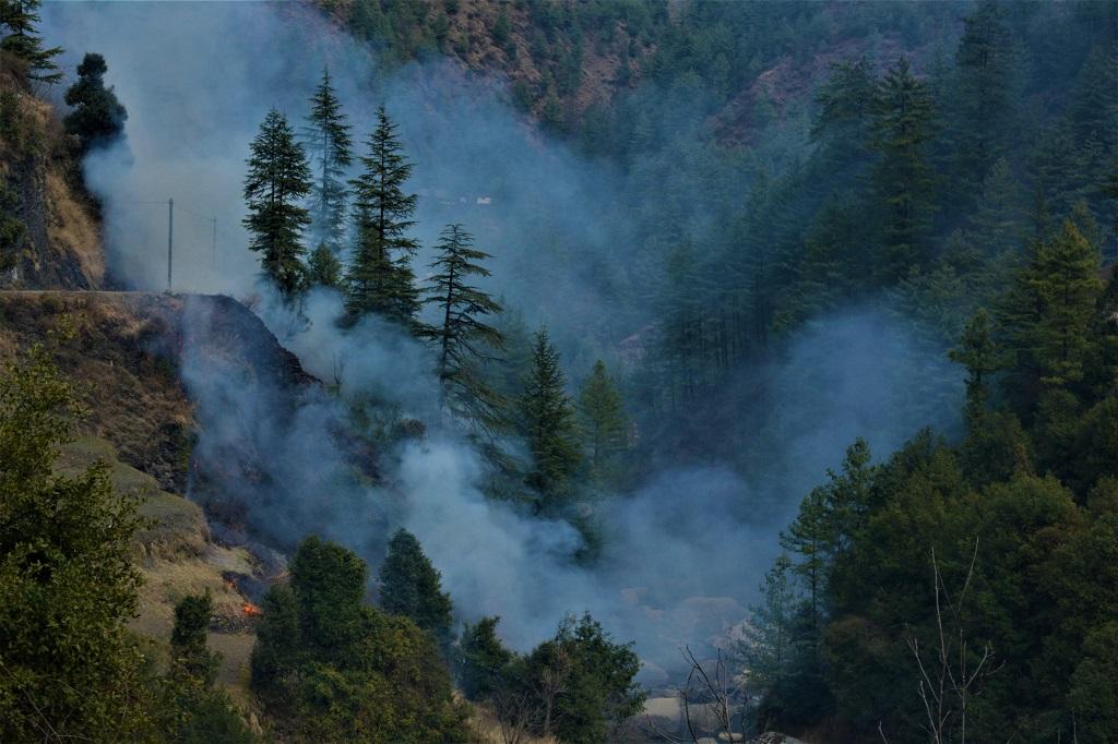 हिमाचल प्रदेश में जंगलों में आग लगने की घटनाएं शुरू हो गई हैं। फोटो: रोहित पराशर हिमाचल प्रदेश में जंगलों में आग लगने की घटनाएं शुरू हो गई हैं। फोटो: रोहित पराशर