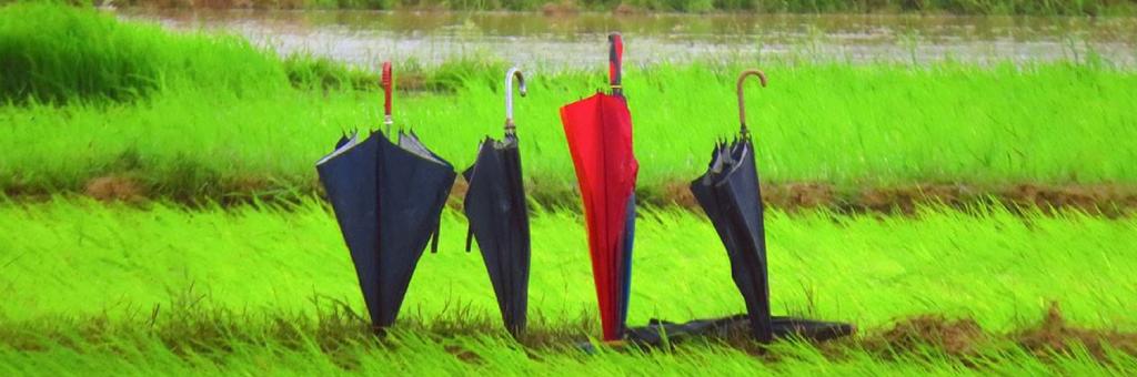 Imd Predicts Normal Monsoon For 2020 This is the official twitter handle of india meteorological department, ministry of earth sciences, government of india. imd predicts normal monsoon for 2020