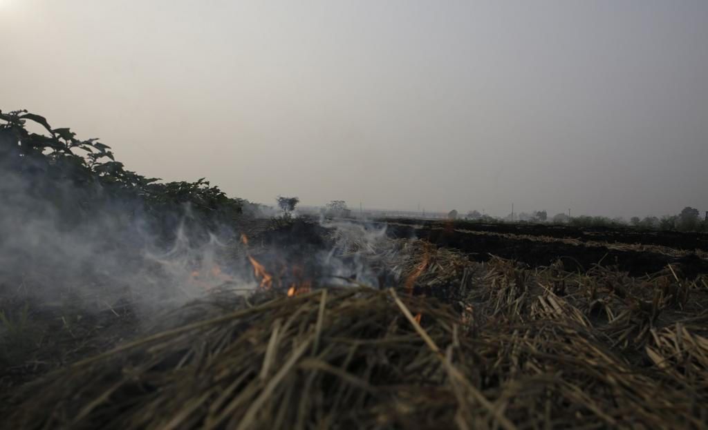 फाइल फोटो: विकास चौधरी फाइल फोटो: विकास चौधरी