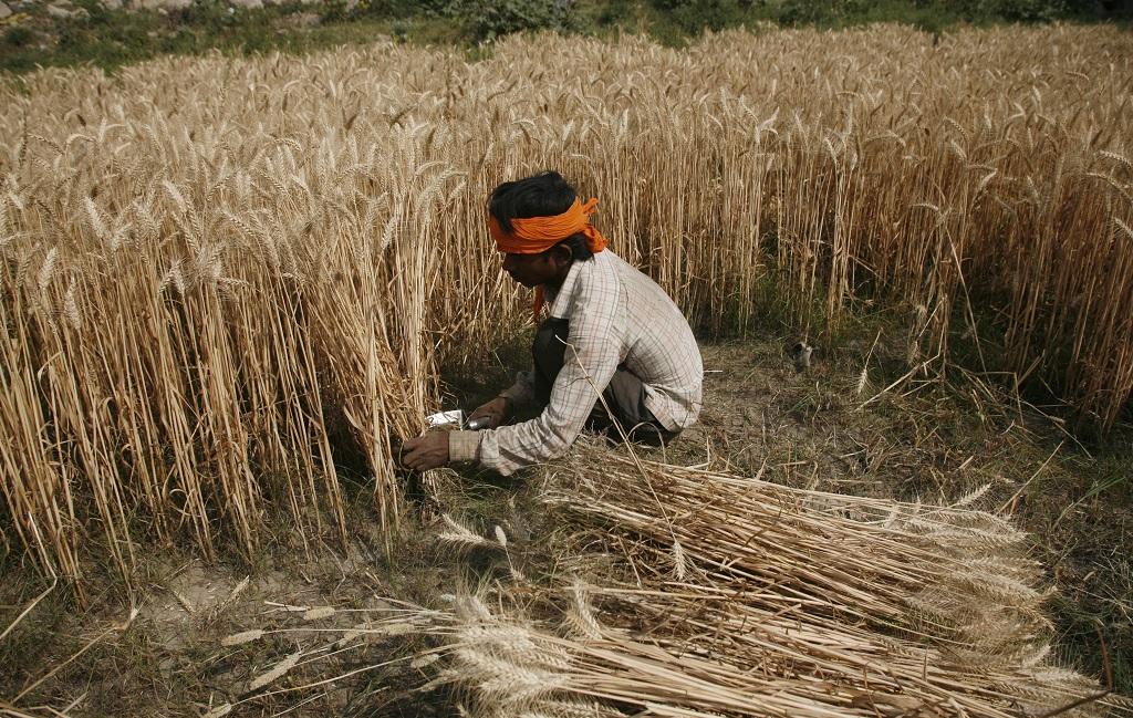 फाइल फोटो: विकास चौधरी फाइल फोटो: विकास चौधरी